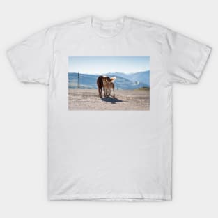 Foal and Mare T-Shirt